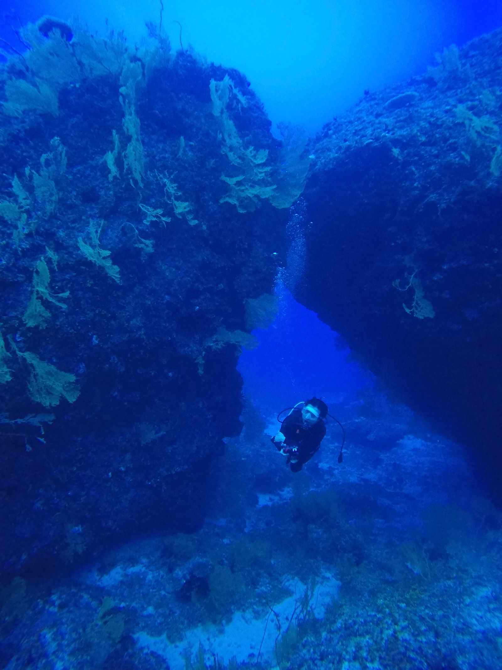 Through the arch when the swell allows