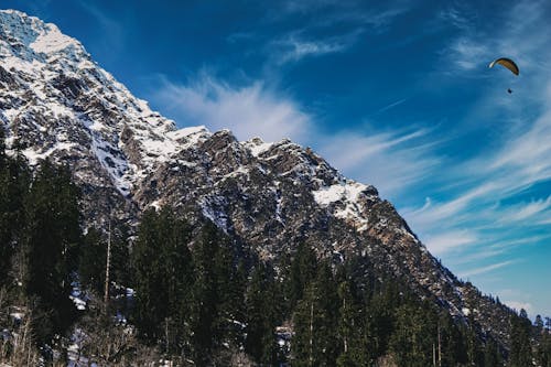 Imagine de stoc gratuită din acoperit de zăpadă, arbori, cer albastru