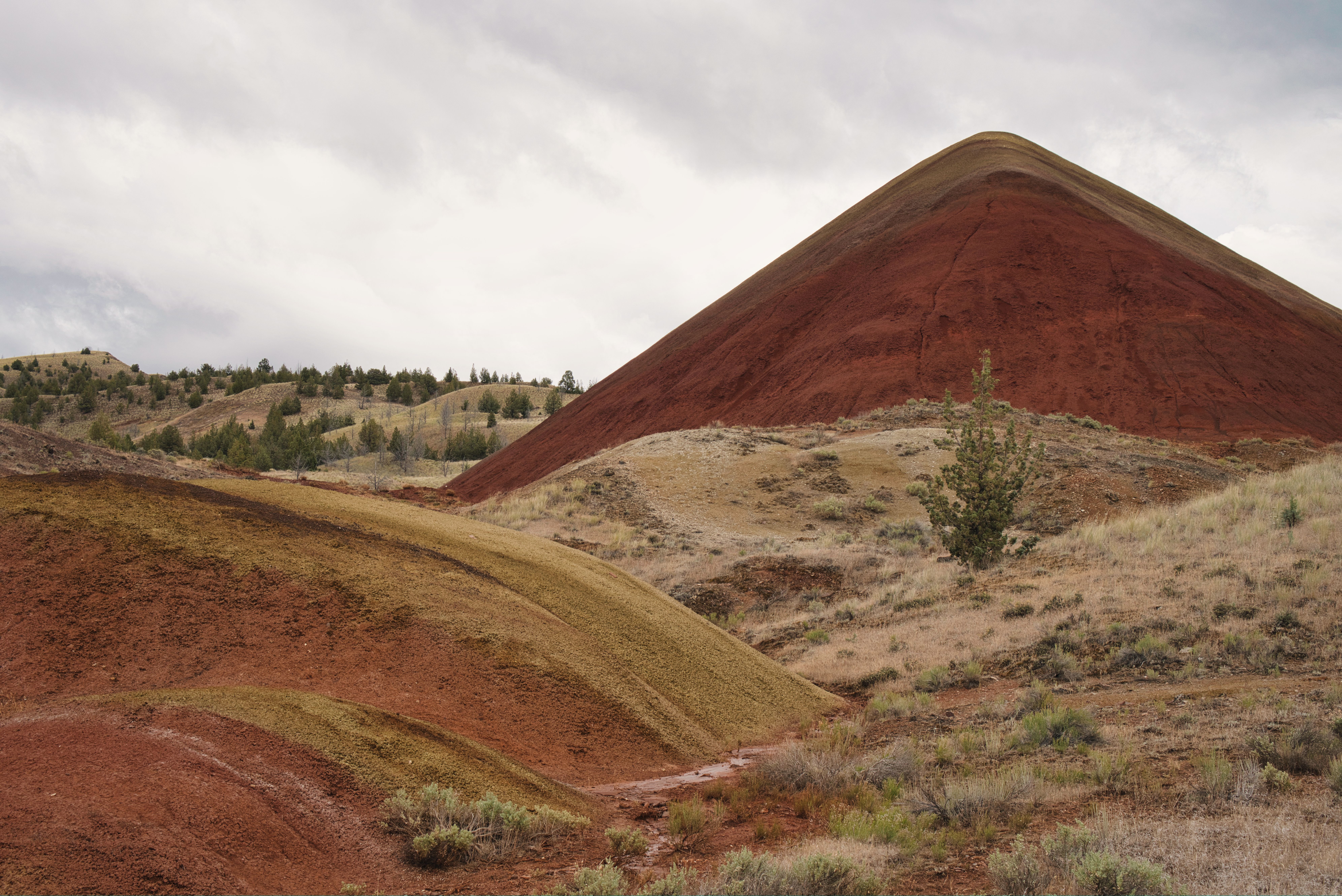 Painted Hills in Oregon · Free Stock Photo
