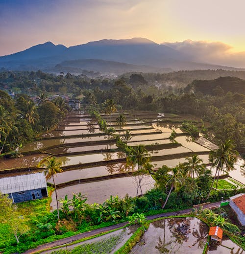 印尼, 天性, 山 的 免費圖庫相片