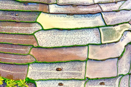 Foto profissional grátis de agricultura, área, área rural