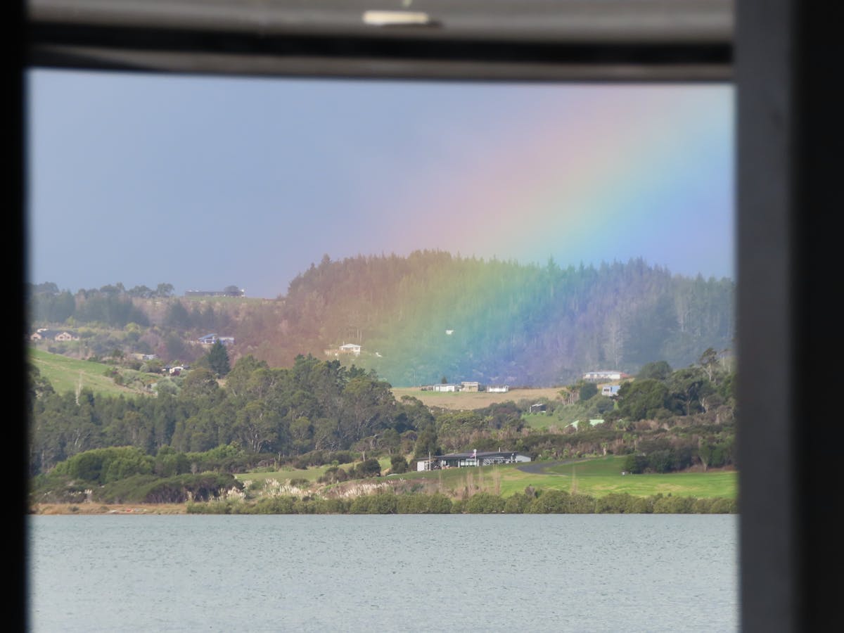 Composting comparison: industrial vs home