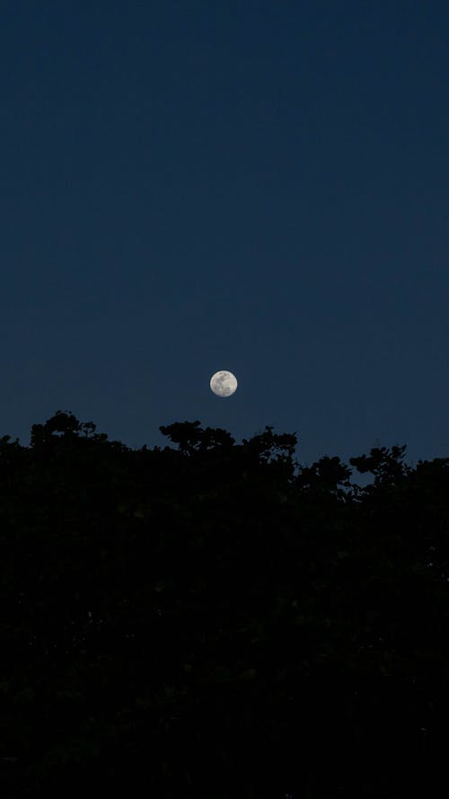 Kostnadsfri bild av klar himmel, kväll, måne