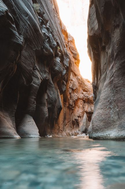 Explore the stunning geological formations of Zion National Park with this breathtaking river canyon scene.