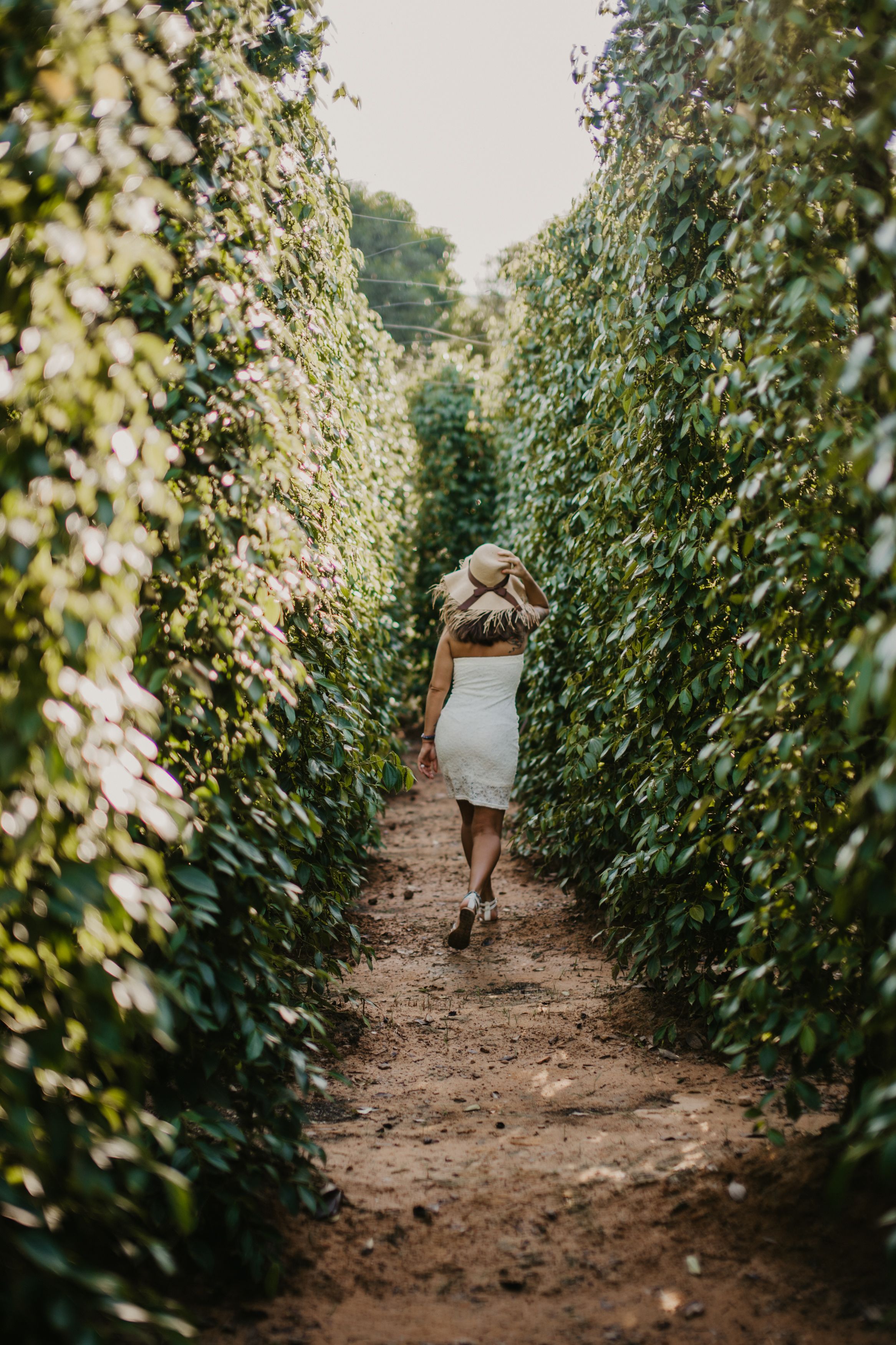 A Woman in White Dress · Free Stock Photo