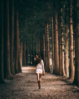 一个女人走在宁静的林荫小道上，拥抱自由和自然