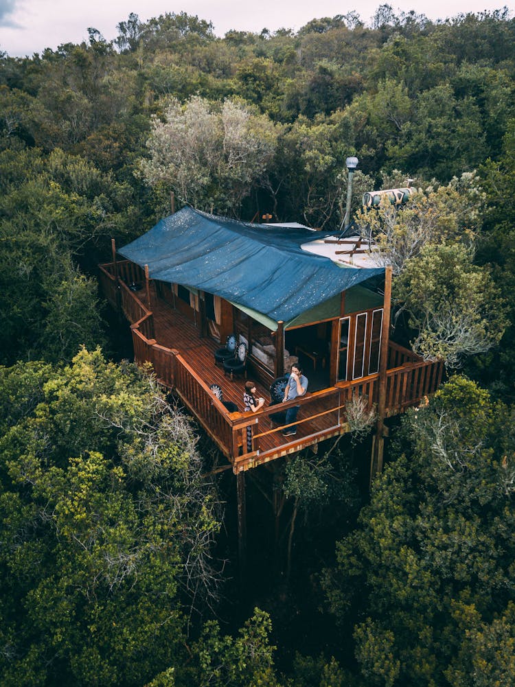 Two People Standing On Brown Wooden Treehouse 