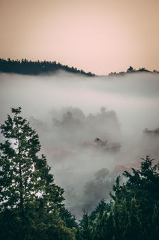 清晨，欣赏宁静的雾景