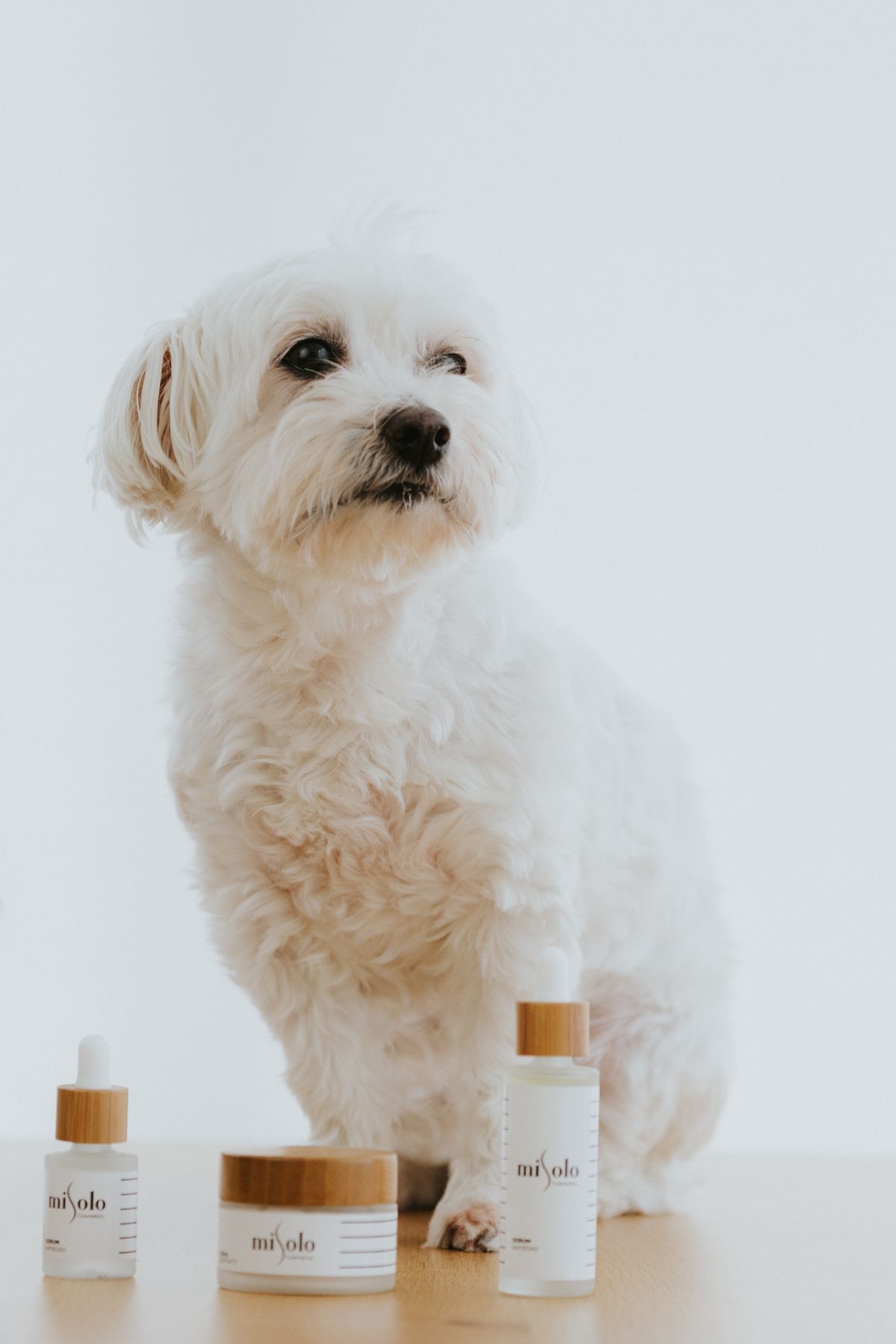 Xylitol in Deodorant, Lotion and Skincare: What Dog Owners Should Know