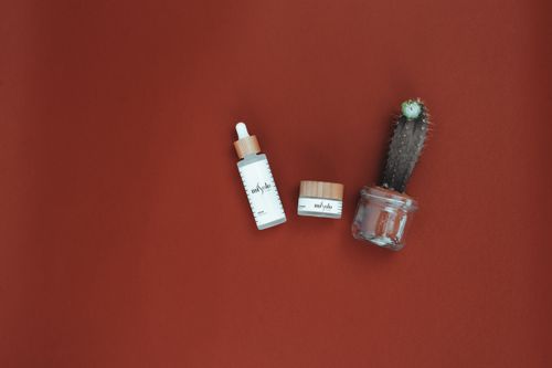 Free Top view of natural skincare products and cactus on red background for beauty and simplicity. Stock Photo