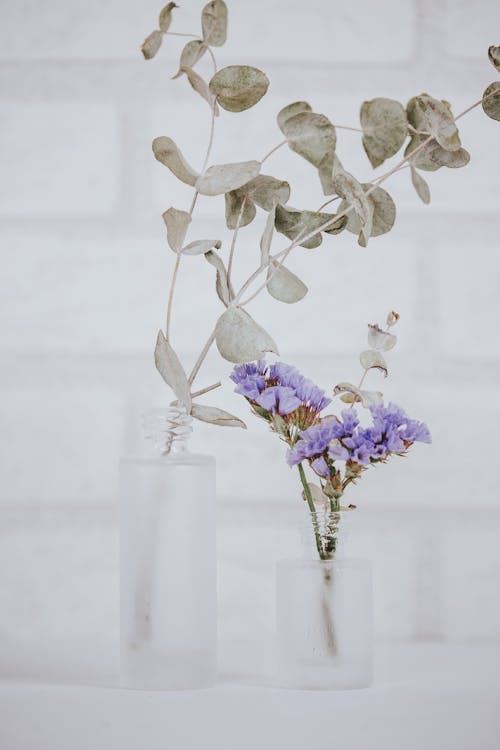 Free Dried Leaves and Purple Flower in Clear Glass Vase Stock Photo