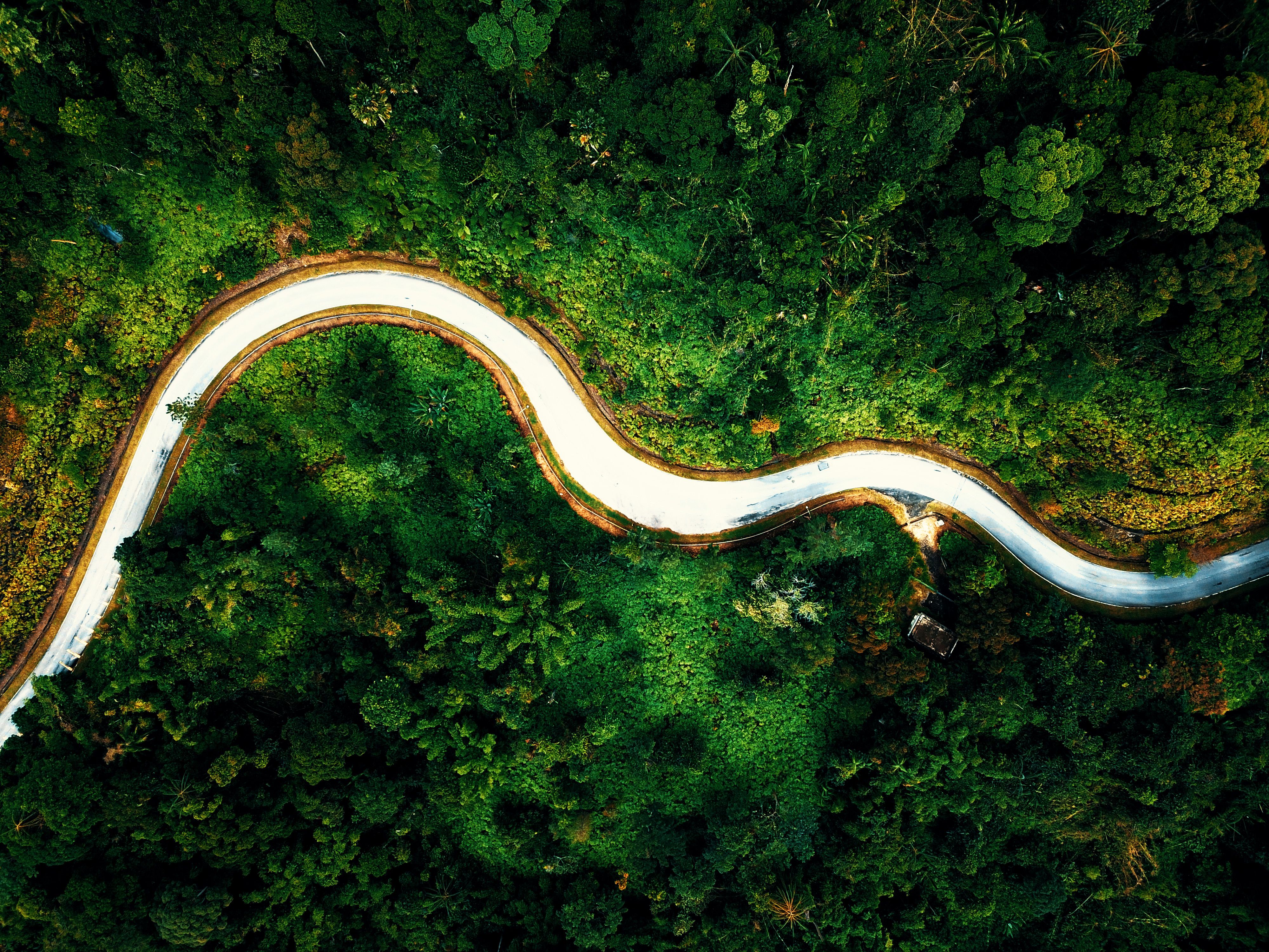 corporate governance esg governance part of esg — Photo by Pok Rie on Pexels