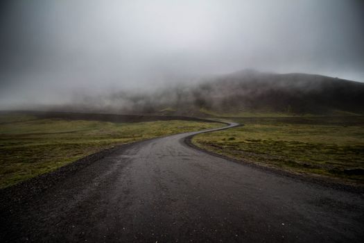 蜿蜒的道路消失在郁郁葱葱、变幻莫测的风景里，隐入浓雾之中