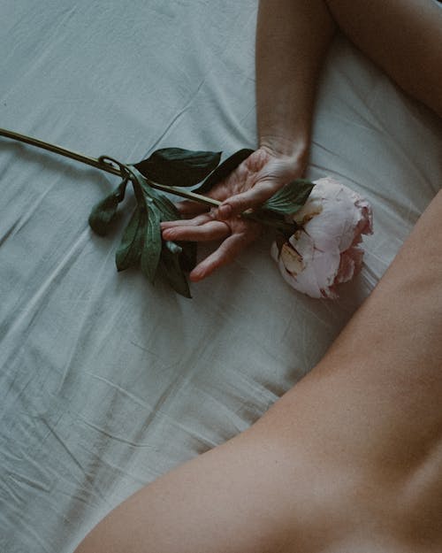 Free Naked Person Holding a Rose Stock Photo