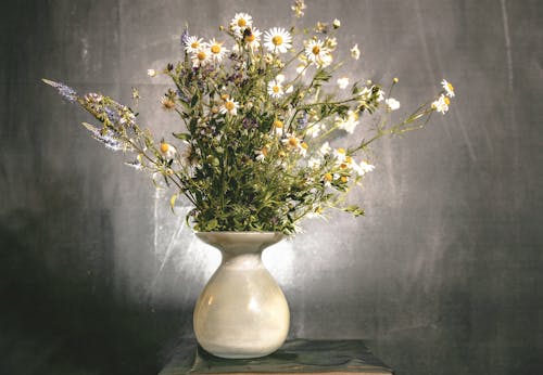 Free Close-Up Shot of Blooming Chamomile Flowers in a Flower Vase Stock Photo