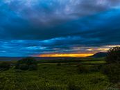 Beautiful landscape of green field