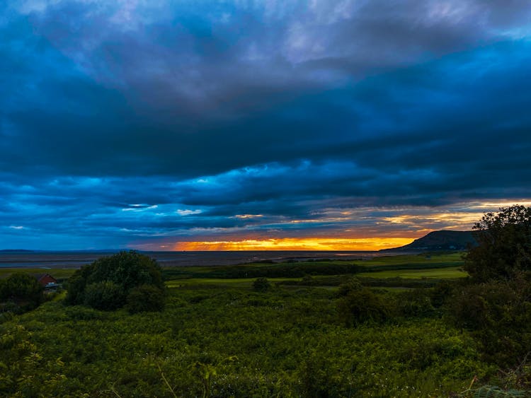 Beautiful Landscape Of Green Field