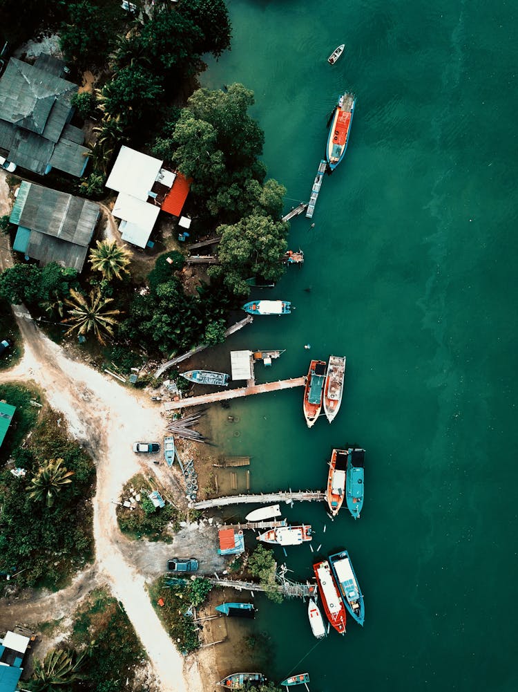 Motor Boats On Sea Near Piers And Trees