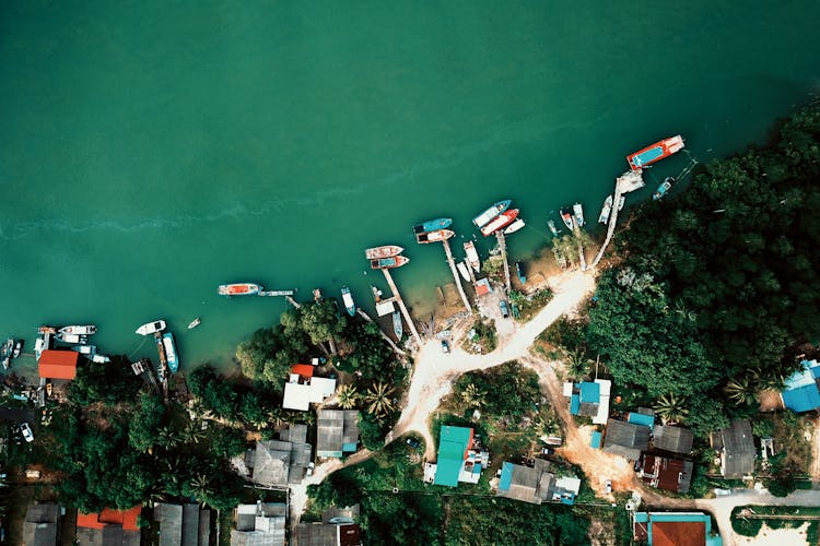 Boats On Green Sea Near Docks And Trees