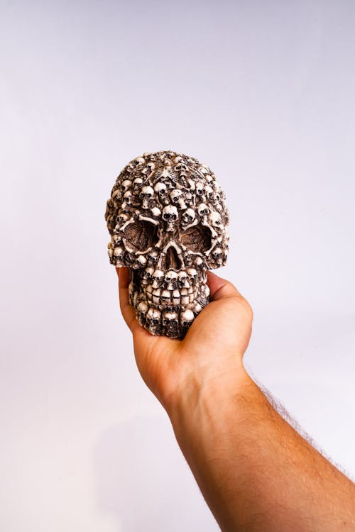 Close-Up Shot of a Person Holding a Skull