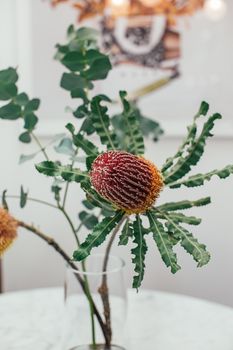 玻璃花瓶里充满活力的班克西亚花特写，非常适合花卉装饰