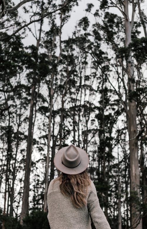 Back view of anonymous female in stylish outfit and hat standing in forest with tall trees in daytime