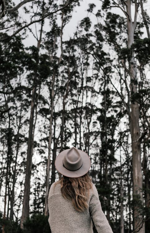 Free Back view of anonymous female in stylish outfit and hat standing in forest with tall trees in daytime Stock Photo