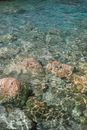 Rocky bottom under pure water