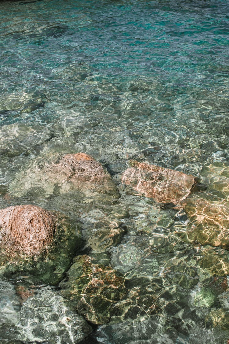 Rocky Bottom Under Pure Water