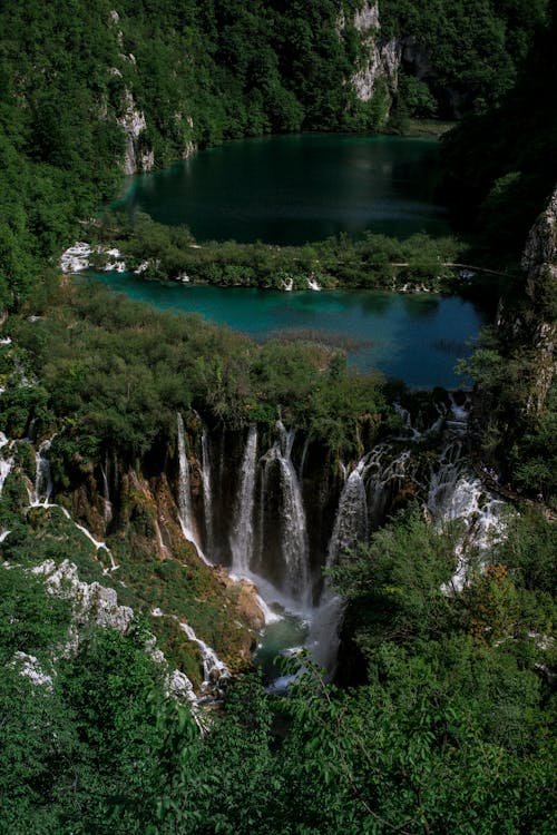 Amazing waterfall flowing among green vegetation