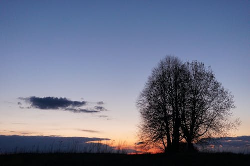 Gratis lagerfoto af eng, himmel, landskab