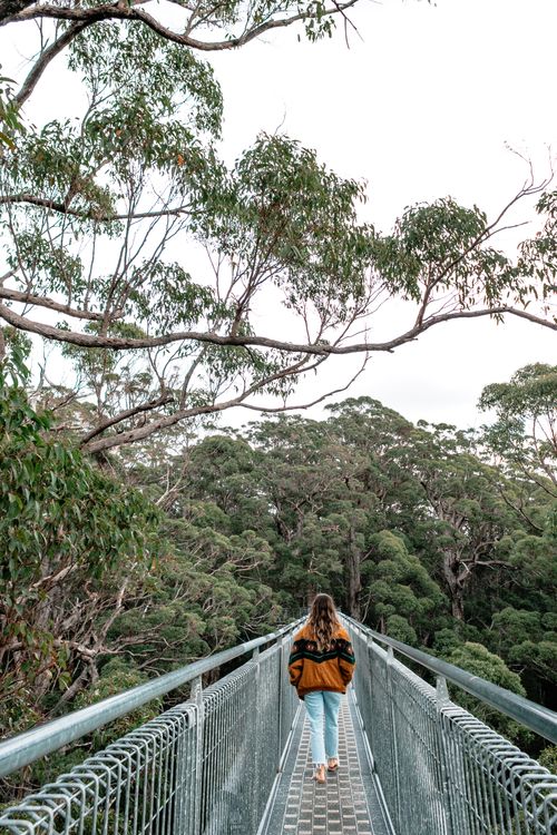 Free Back view of full body unrecognizable female in casual outfit walking on metal footbridge in park with green trees Stock Photo