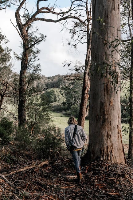 Inspiration for the Soul: Encouraging Words for a Peaceful Weekend