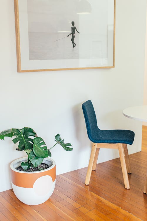 Bright room interior decorated with chairs and table near white wall with picture of person and potted green plant