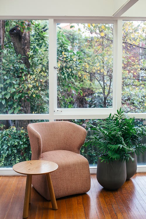 Potted plants in room near window and armchair