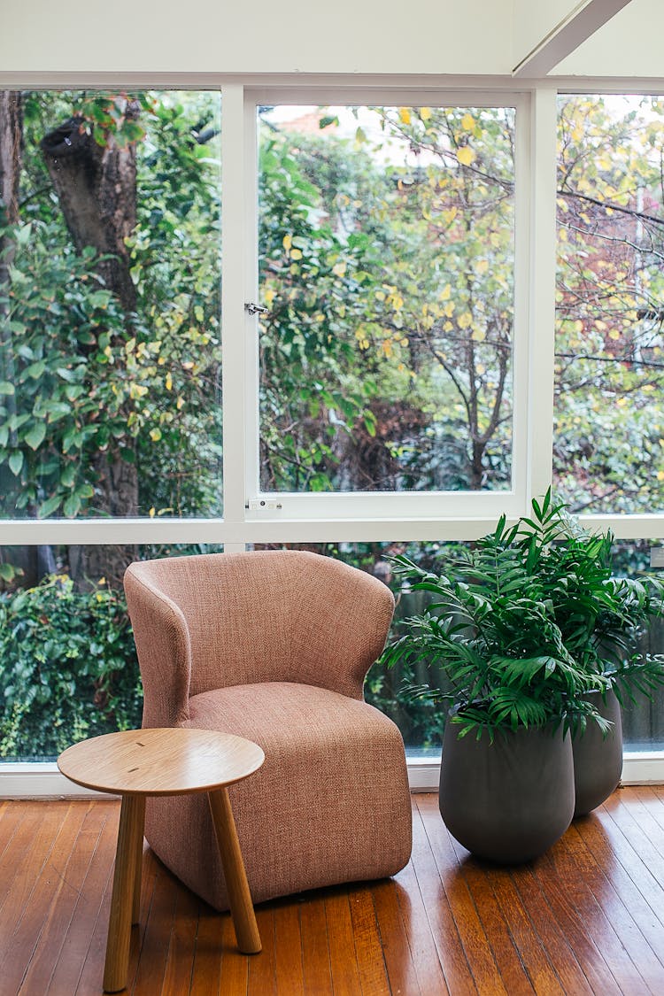 Potted Plants In Room Near Window And Armchair