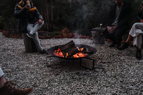 Free Unrecognizable travelers sitting near campfire in woods Stock Photo