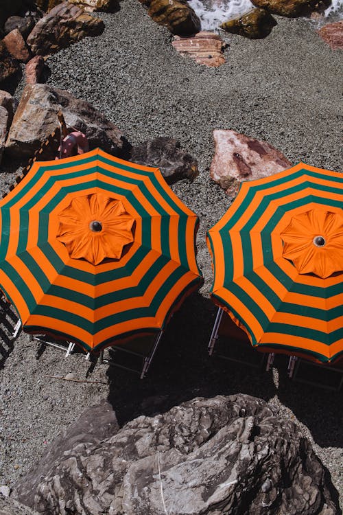 Free Opened parasols and sunbeds on sandy shore Stock Photo