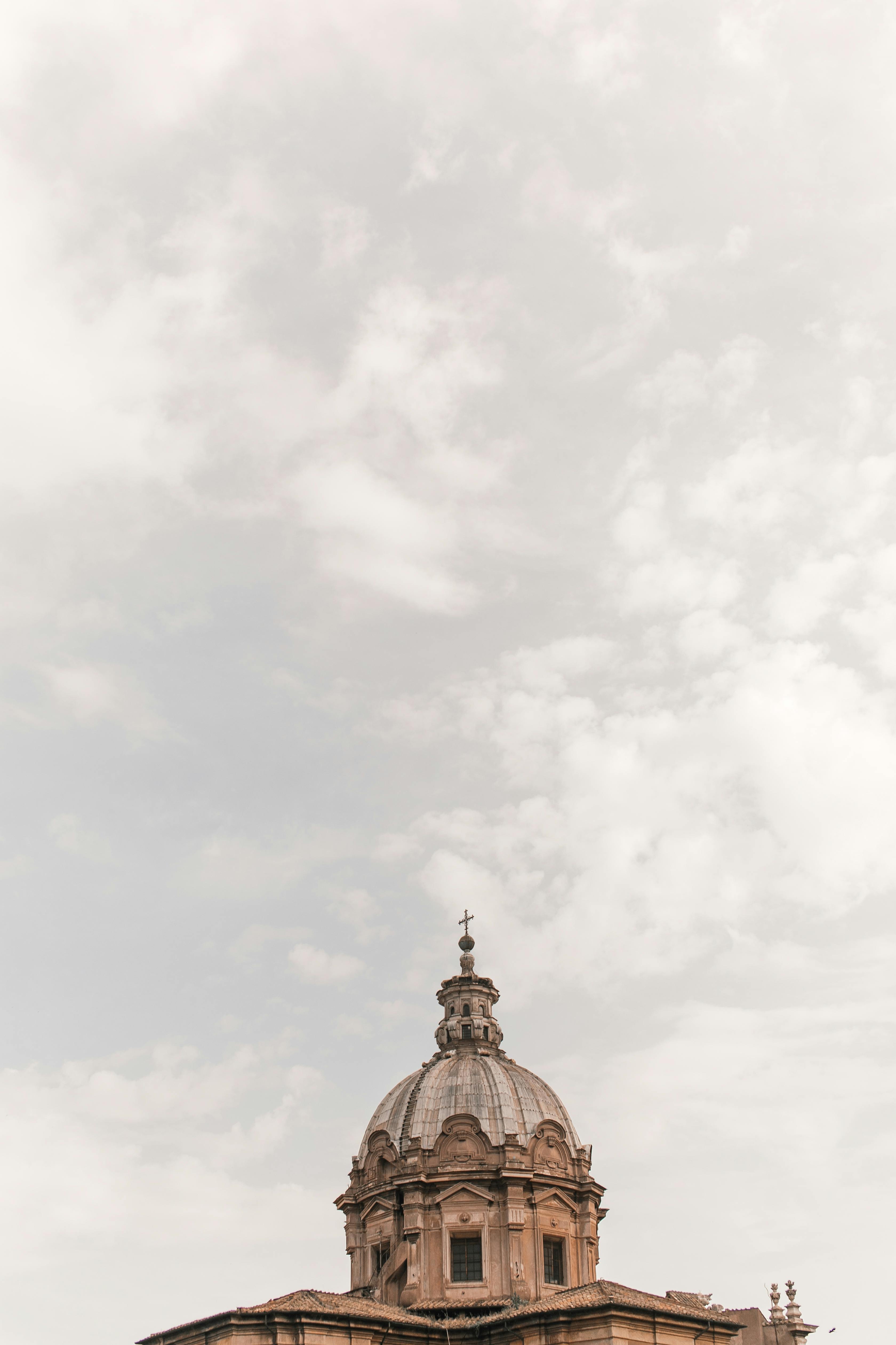 What attracted rats to your house?