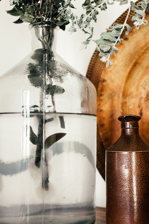 Eucalyptus sprigs in glass vase at home