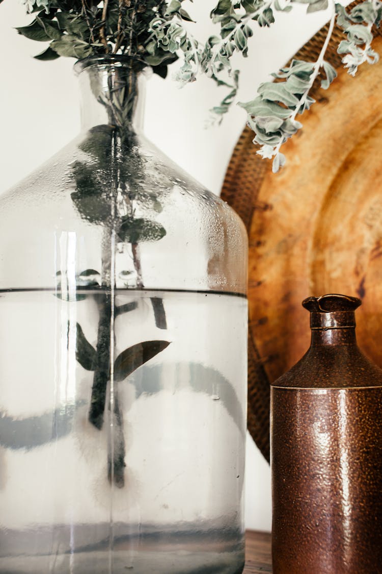 Eucalyptus Sprigs In Glass Vase At Home