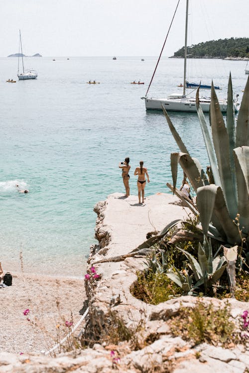 Back view of anonymous tourists in swimsuits enjoying endless ocean from mountain with cactus in sunlight