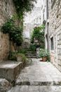 Rough pathway between aged stone building exteriors and collection of plants in town on sunny day