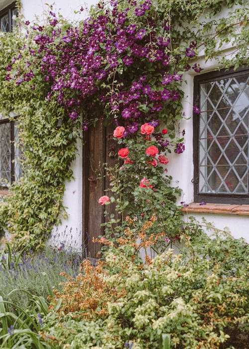 Free Old house with flowers on wall Stock Photo