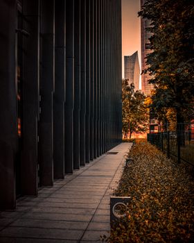 日落时分，秋叶掩映下的华沙摩天大楼景色壮丽
