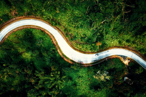 Drone top view car riding on curvy asphalt road between tropical green woodland in daylight