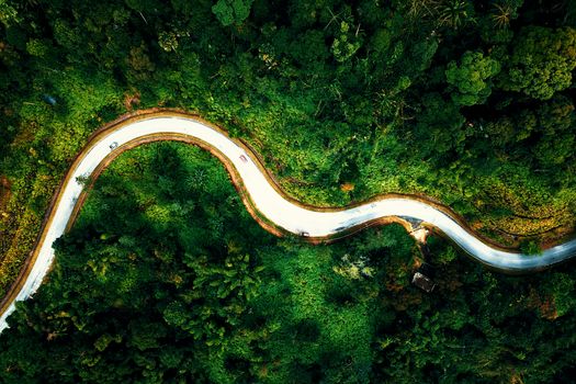 Drone top view of narrow curvy roadway running through abundant tropical forest in exotic country