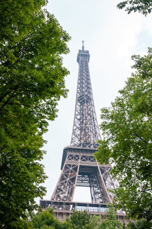 Free Low angle of famous Eiffel Tower located between green trees against cloudy sky in Paris Stock Photo