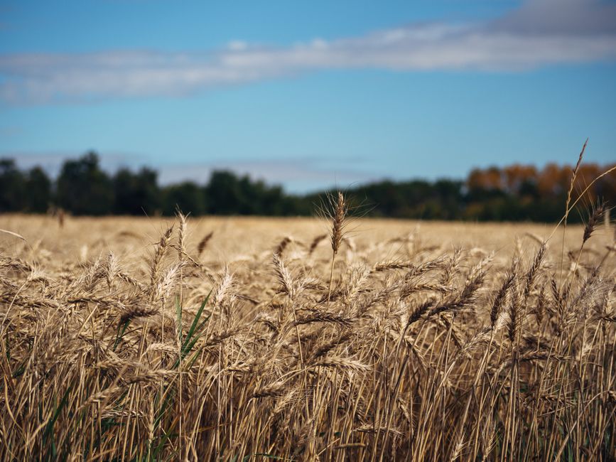 Farm Groups Urge Ottawa to Keep Agricultural Research Centres Open