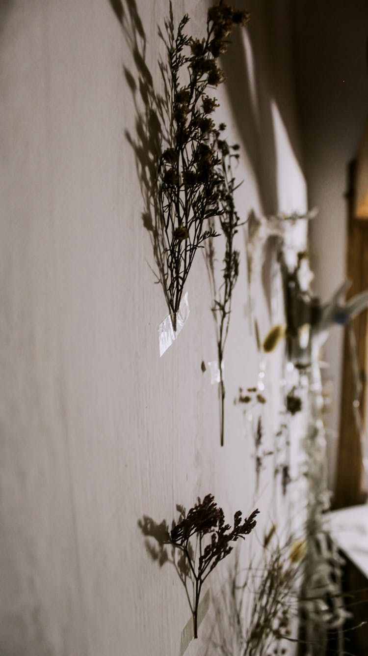 Close Up Of Herbs During Drying